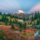 Winter Getaways Near Mount Rainier