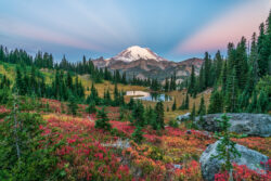 Winter Getaways Near Mount Rainier